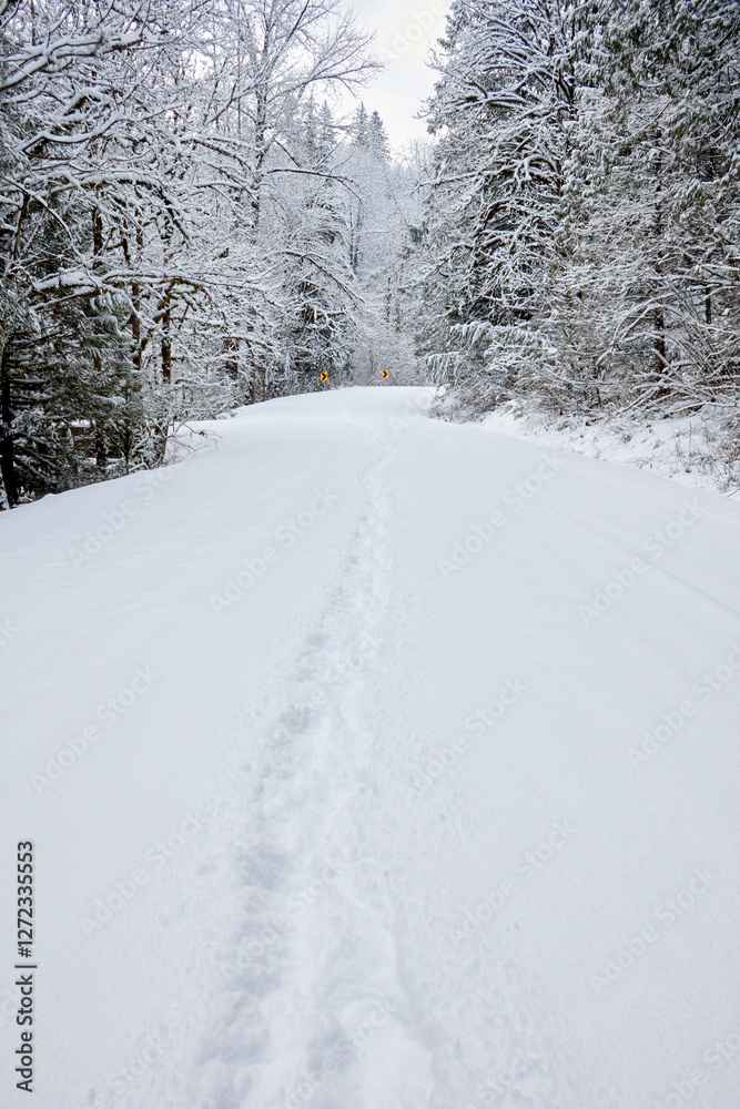 Footprints and Fresh Snow on the Road Footprints and Fresh Snow on the Road