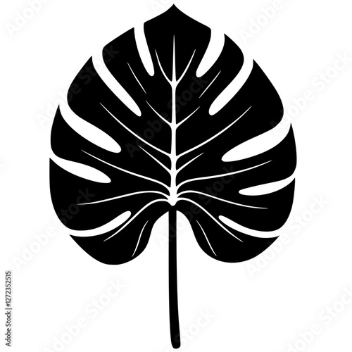 Silhouette of taro leaves