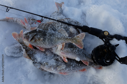 Winter fishing with ice fishing for perch