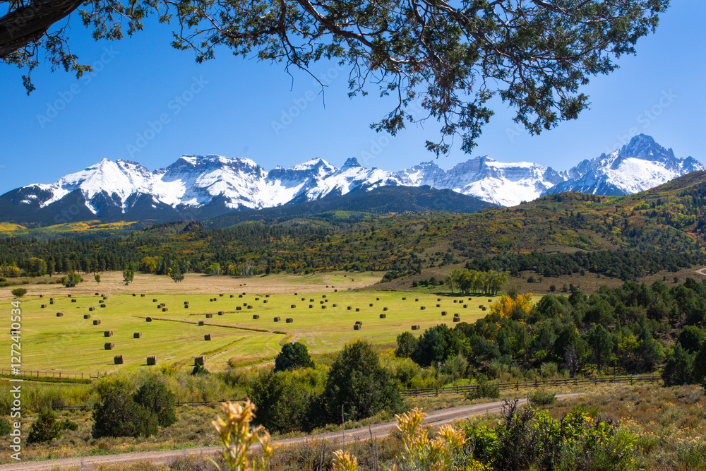 Obraz premium Hay bales in front of snow capped mountains near Ridgway, Colorado, USA