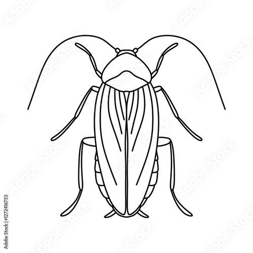 cockroach line icon vector illustration isolated on white background.
