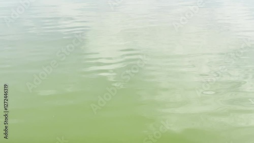 surface of the water ripples reflection of the sky