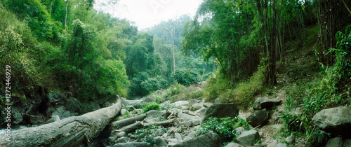 Panoramic forest, Chiang Mai, Thailand.