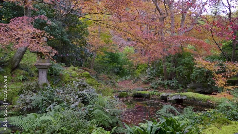 Slow panning shot over mysterious landscape garden in Japan during fall Slow panning shot over mysterious landscape garden in Japan during fall