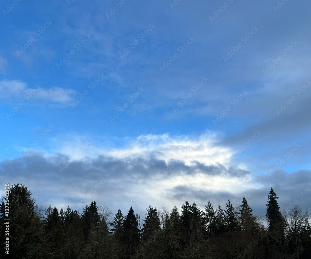 dblue sky with clouds and trees dblue sky with clouds and trees
