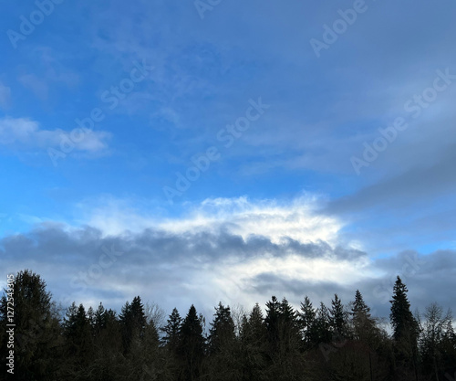 dblue sky with clouds and trees