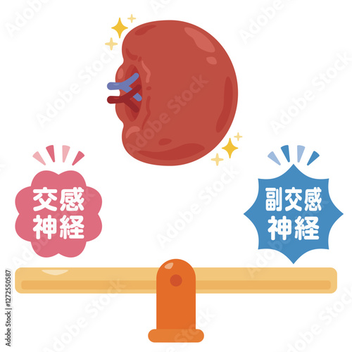 バランスの取れた自律神経と健康的な脾臓のイラスト