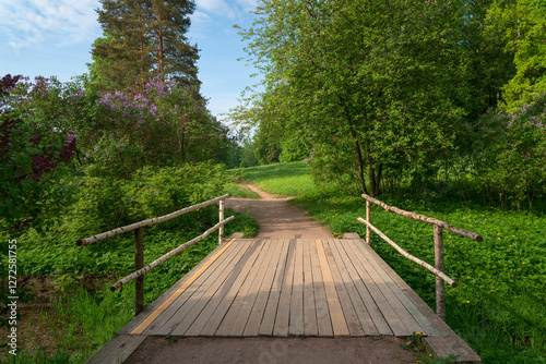 Wooden bridge with blooming lilac bushes around in the valley of the Slavyanka River in the landscape part of the Pavlovsky Palace and Park Complex on a summer day, Pavlovsk, St. Petersburg, Russia photo