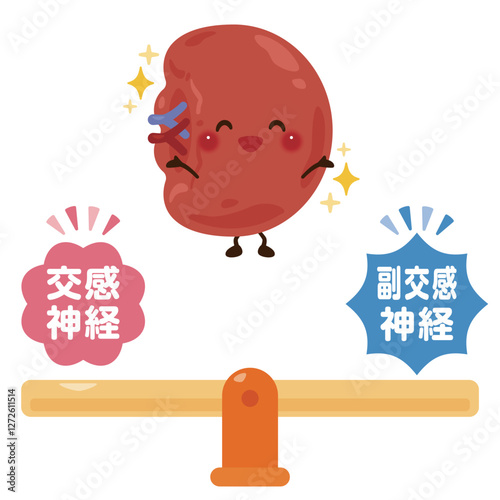 バランスの取れた自律神経と健康的な脾臓のキャラクターイラスト