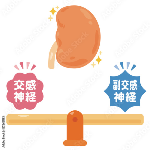 バランスの取れた自律神経と健康的な腎臓のイラスト