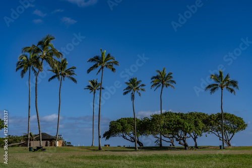 Kualoa Regional Park, Honolulu, Oahu, Hawaii. Windward Coast. 
