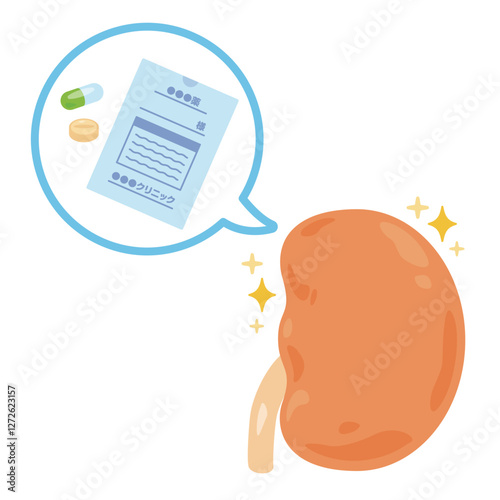 薬剤と調子が良い腎臓のイラスト