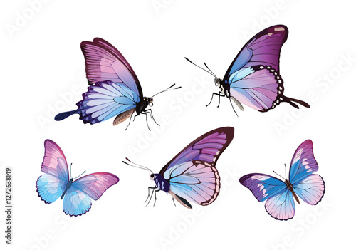 Purple blue butterflies set, front and side view, 蝴蝶，正面 側面組合