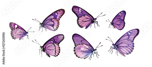 purple butterflies set, side view, clip art, vector, illustrator, isolated