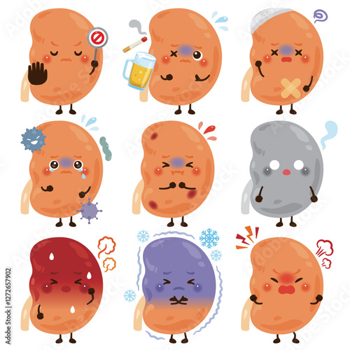 様々な状態の腎臓のキャラクター