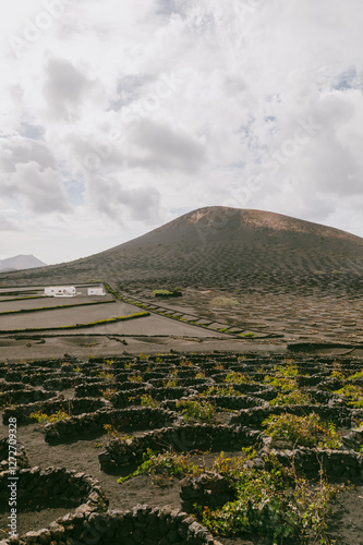 Obraz na płótnie Volcanic landscape, La Geria, Lanzarote Island, Canary Islands, Spain, Europe. Wine growing area in the volcanic landscape with views of some volcanoes w salonie