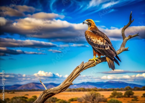 Wedgetail Eagle perched on a dry branch against a vibrant blue outback Australian sky. Majestic bird of prey in its natural habitat. photo