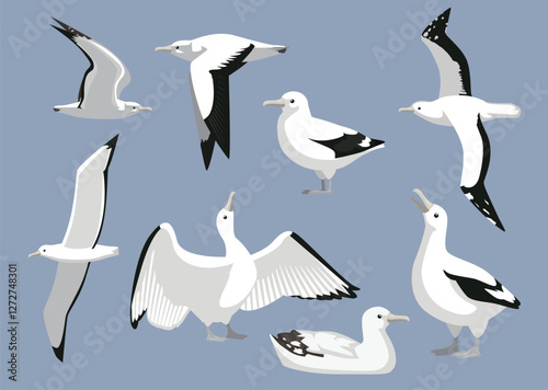 Snowy Albatross Sea Bird Various Poses Cartoon Vector Illustration Isolated