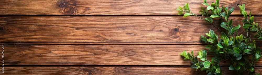 Rustic Brown Wooden Planks with Greenery on Dark Backdrop for Product Mockups Rustic Brown Wooden Planks with Greenery on Dark Backdrop for Product Mockups