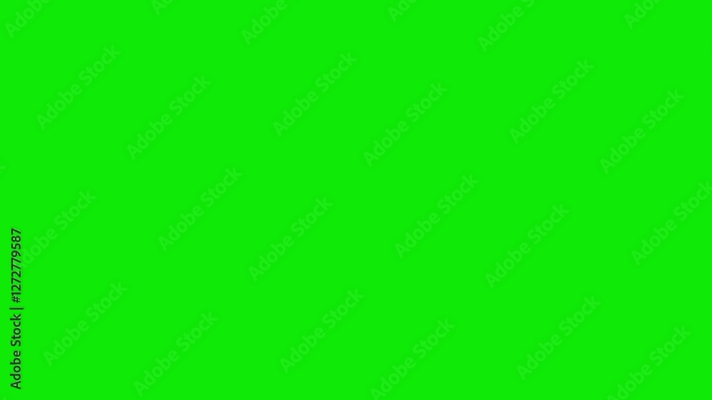 Large Flock 15 Common Pigeon Birds - Flying Transition - Side Angle LS MS CU View - Green Screen - 3D animation with isolated on chroma key background Large Flock 15 Common Pigeon Birds - Flying Transition - Side Angle LS MS CU View - Green Screen - 3D animation with isolated on chroma key background