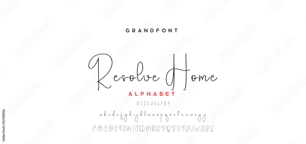 Obraz premium handwrite signature font Calligraphy Logotype Script Brush Font Type Font lettering handwritten