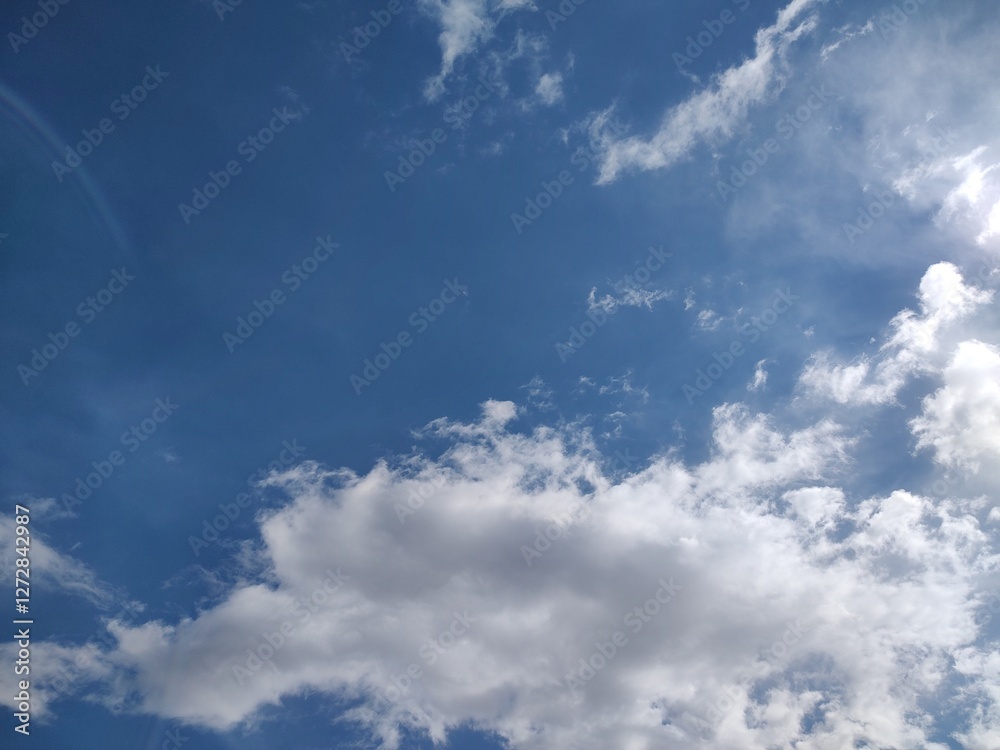 Fototapeta premium 東京のそら(25.2.18)