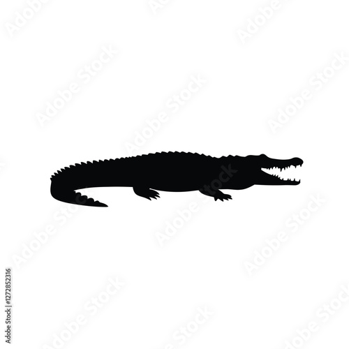 crocodile isolated on white