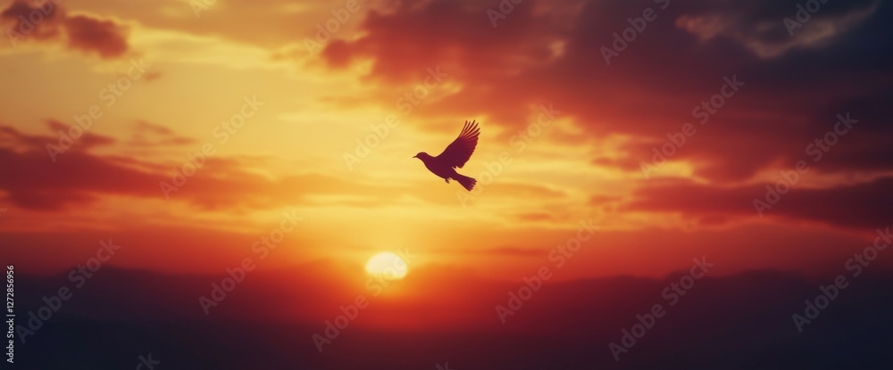 Fototapeta premium silhouette of flying dove bird against beautiful sunset sky background