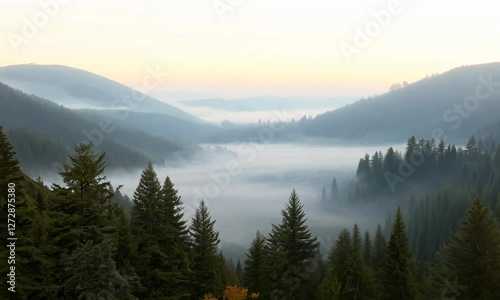 Morning fog in mountain valley