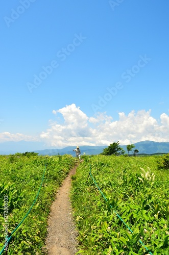 Landscape in Kirigamine, Nagano, Japan in summer	 photo
