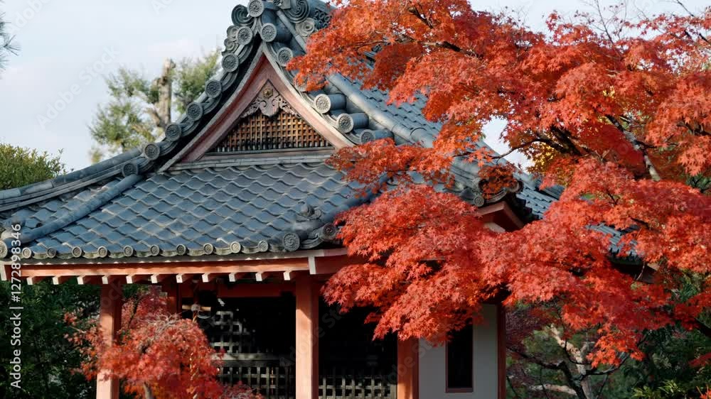 A traditional Japanese temple nestled among vibrant red maple trees during autumn.