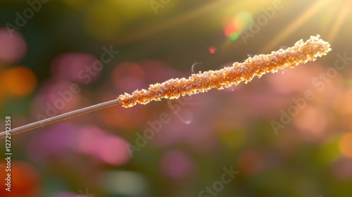 Golden grass seed head in sunlight, blurred garden background photo