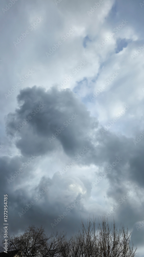 Blue sky with clouds, winter weather. Clouds on the background of trees. Blue sky with clouds, winter weather. Clouds on the background of trees.