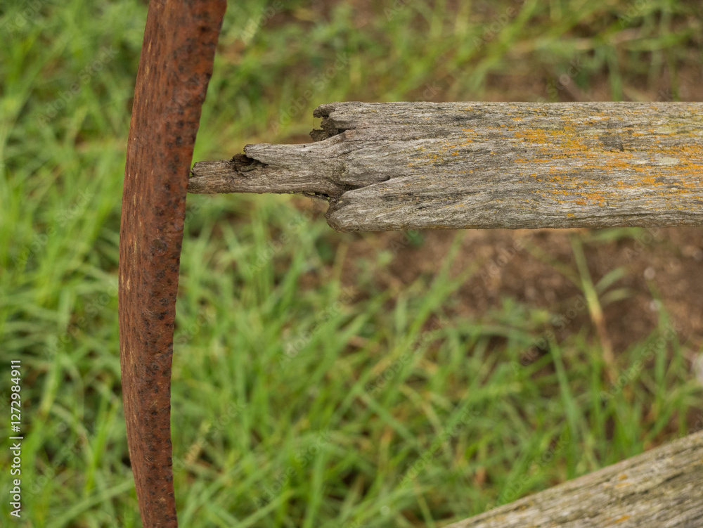 Old rusted wagon wheel with broken wooden spoke and green grass in background Old rusted wagon wheel with broken wooden spoke and green grass in background