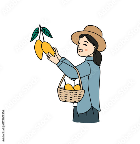 Woman harvesting mango in garden, hand drawn style vector illustration