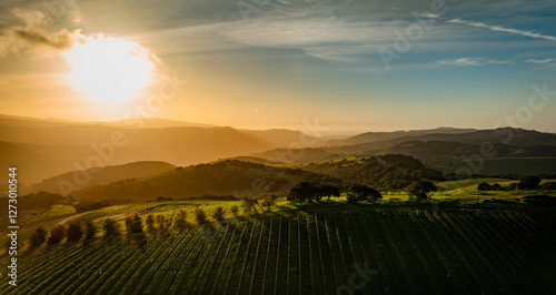 Carmel Valley vineyards glow in  a bright winter sunset. An aerial rural scene of rolling hills and golden fields