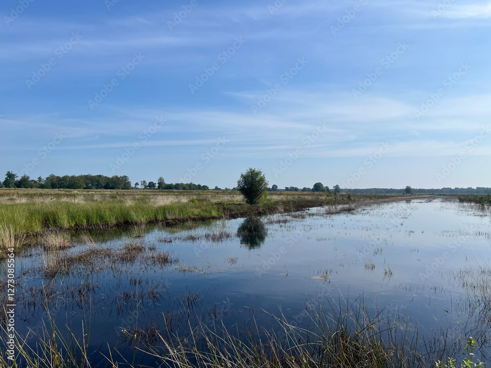 Wedlands in Appelscha