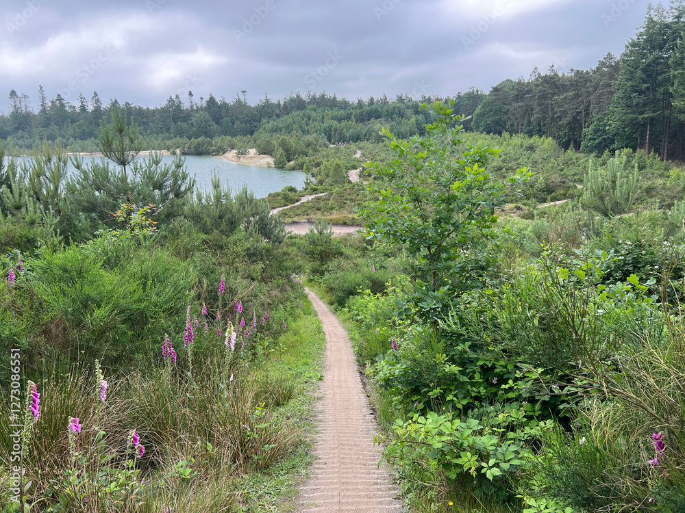 MTB track at Gasselte - Gieten in Drenthe