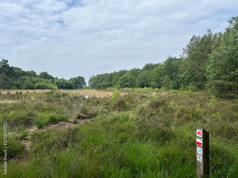 MTB track Sleen in Drenthe