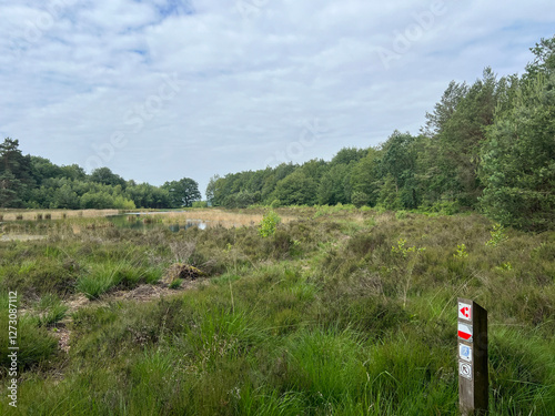 Obraz na płótnie MTB track Sleen in Drenthe w salonie