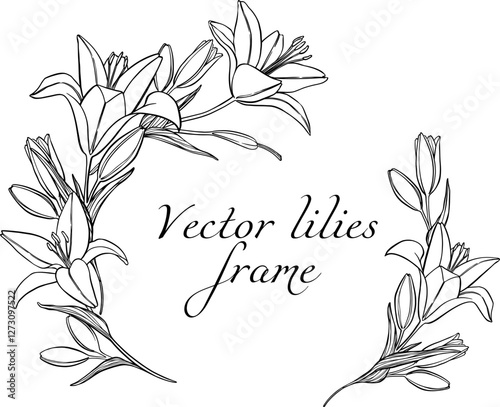 Elegance border of vector outline lilies for design flowers shop.