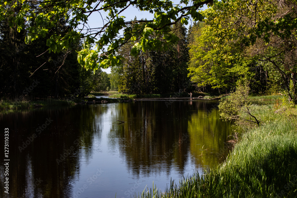 Salmon river landscape in summer. Farnebofjarden national park in north of Sweden Salmon river landscape in summer. Farnebofjarden national park in north of Sweden