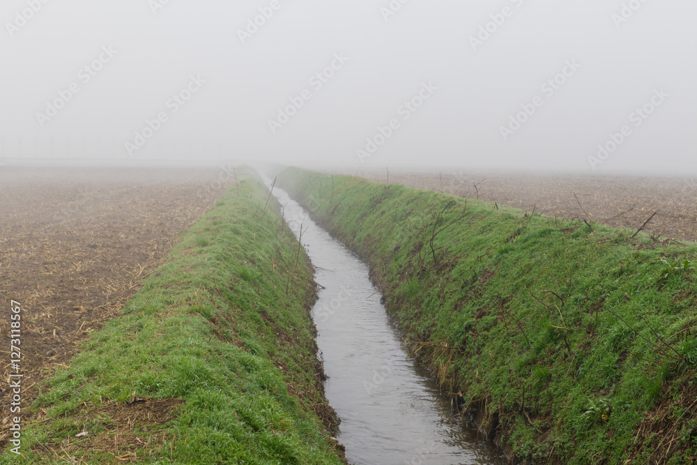 Po Valley fog landscape panorama vision trees Po Valley fog landscape panorama vision trees