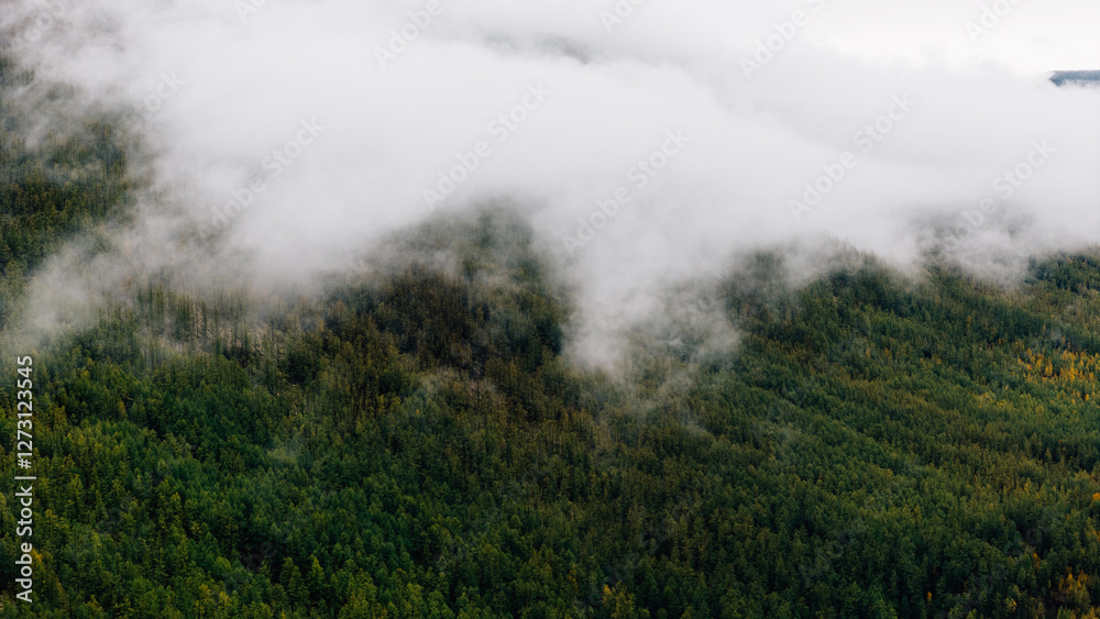 Autumn mountains shrouded in mist, creating a mystical and serene landscape captured in breathtaking aerial drone footage Autumn mountains shrouded in mist, creating a mystical and serene landscape captured in breathtaking aerial drone footage