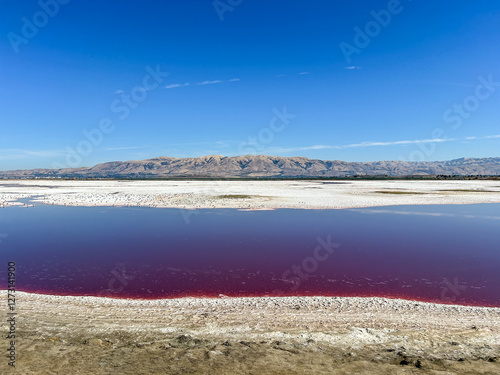 Alviso Marina County Park photo