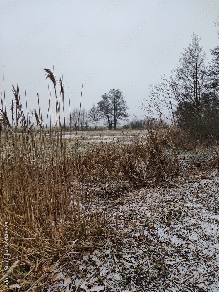 Winterlandschaft neblig trüb mit Schnee Winterlandschaft neblig trüb mit Schnee