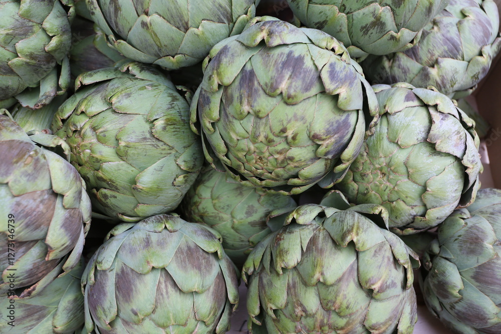 Obraz premium Artichauts crus violets et verts