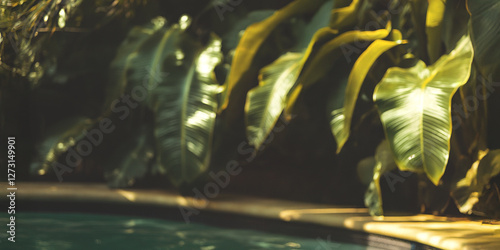 A wide-format blurred background featuring large olive-green leafy plants surrounding a blue swimming pool. Warm and soft tones of green, yellow, and blue create a relaxing and tropical ambiance.
