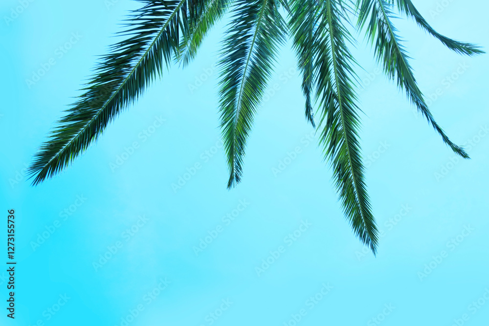 Obraz premium vibrant green palm leaf captures essence of tropical getaways and relaxation, Symbol of paradise, natural beauty