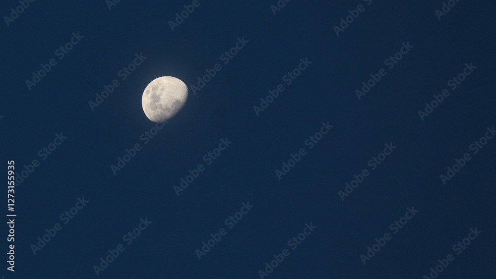 background with a beautifully glowing moon background with a beautifully glowing moon